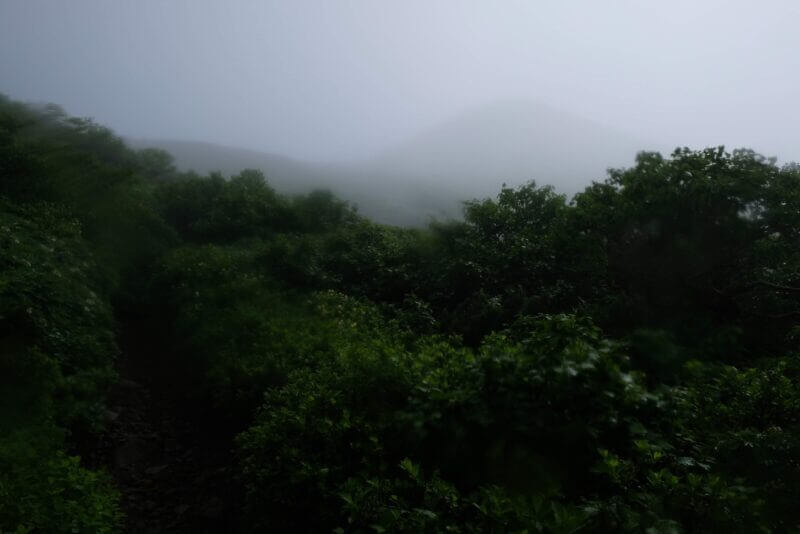 霧の合間にうっすらと現れた山の斜面の気配