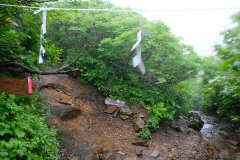上二股の分岐点と白い紙垂
