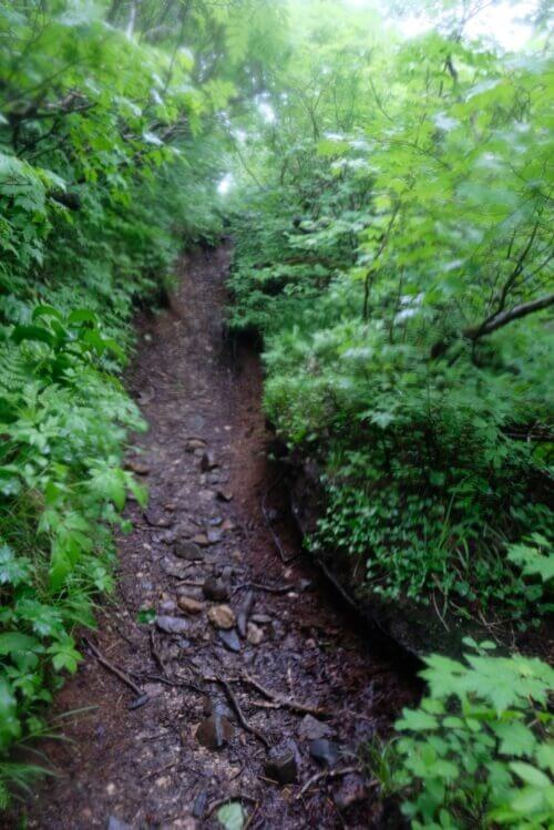 V字に深く浸食された泥の登山道