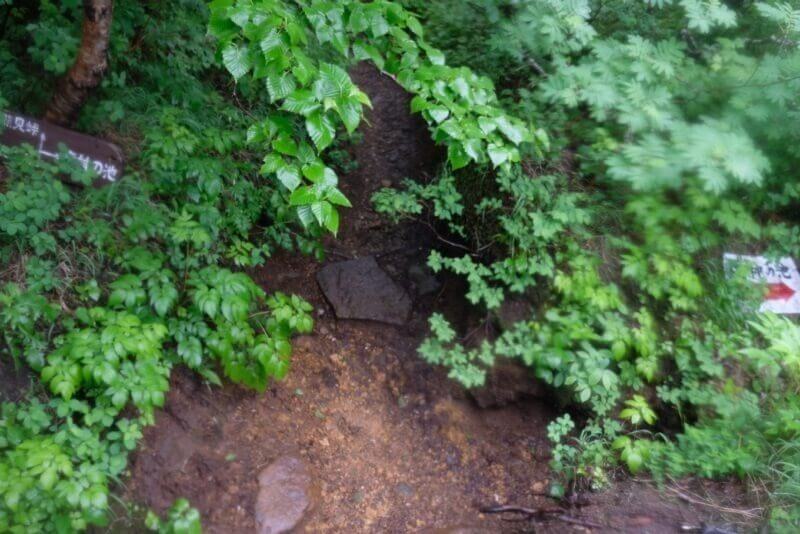 熊見峠と龍神の池への分岐点にある案内板