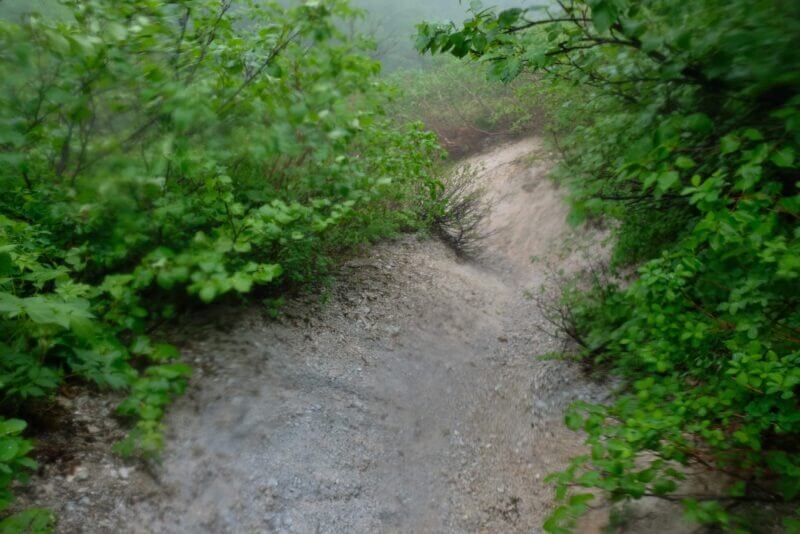 ザレ場の急斜面に続く登山道