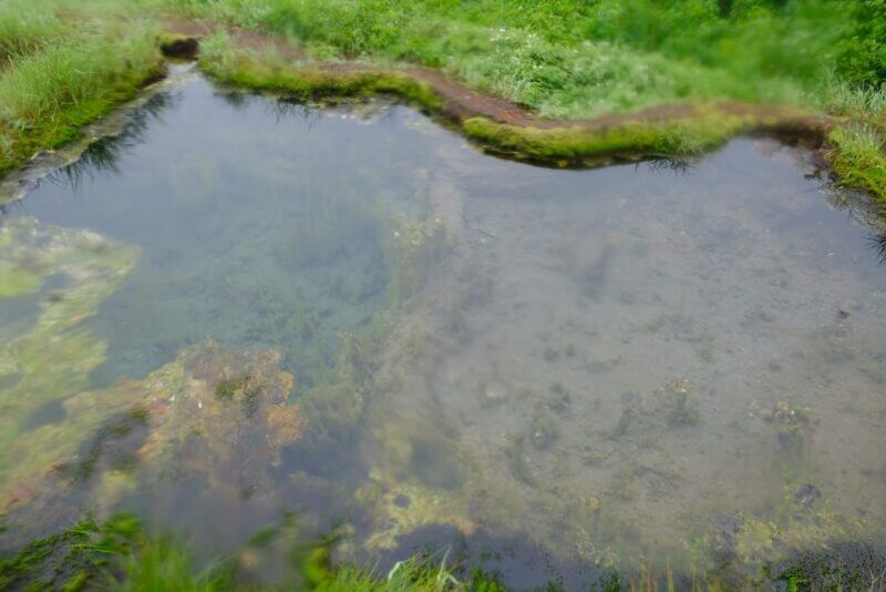 透明度の高い龍神の池の水面と底の様子
