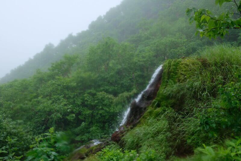 苔むした岩壁を流れる小さな滝