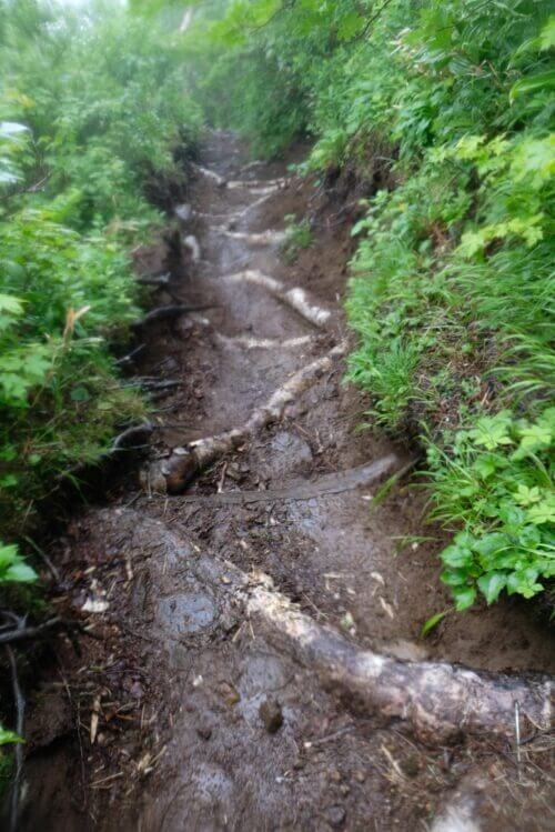 雨で泥だらけになった急な下り階段
