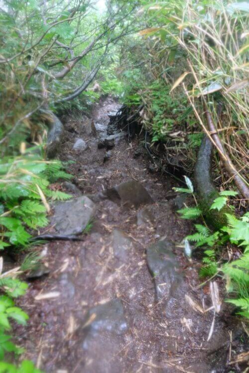 岩が露出し、侵食された急峻な下り坂