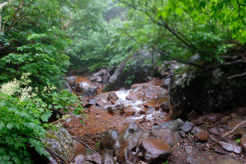 赤茶色の川底の沢と、それを取り囲む瑞々しい初夏の緑の風景。