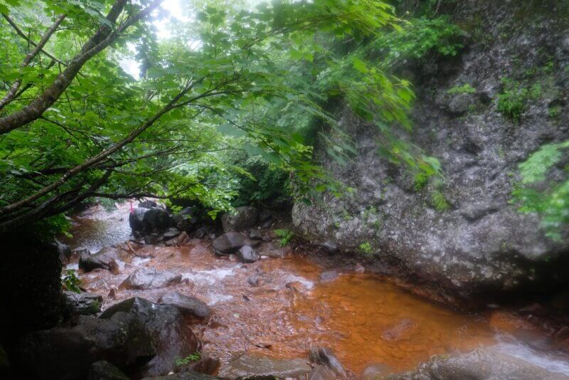 巨石の脇を流れる赤茶色の沢。木々の枝が水面近くまで垂れている。