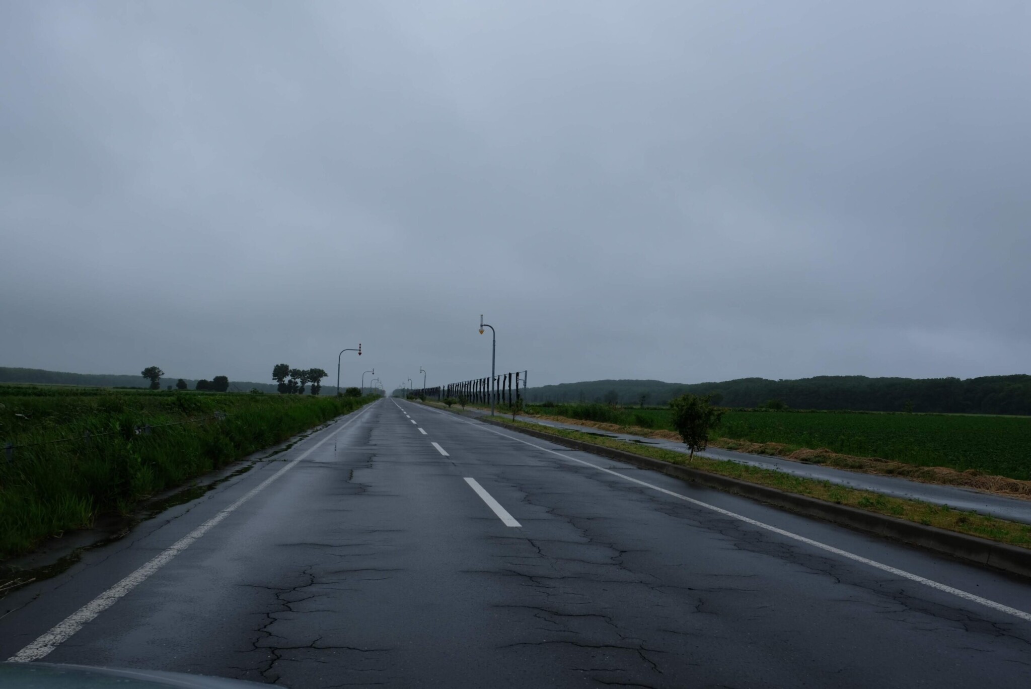 雨に濡れたアスファルトが続く、北海道の広大な直線道路。左右には広大な畑が広がる。