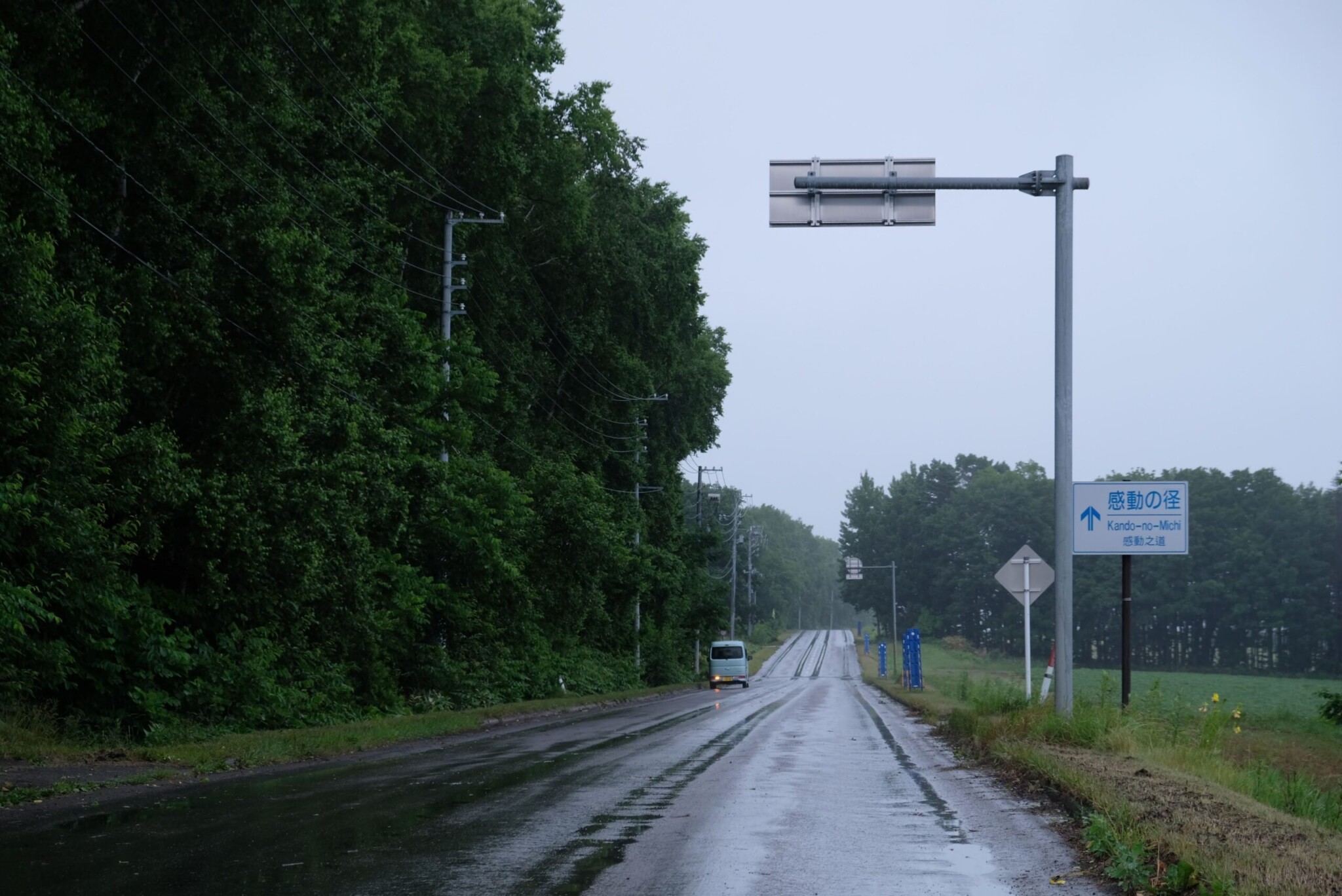 雨の中、前方へと続く一本道。右側に「感動の径」の看板がある。